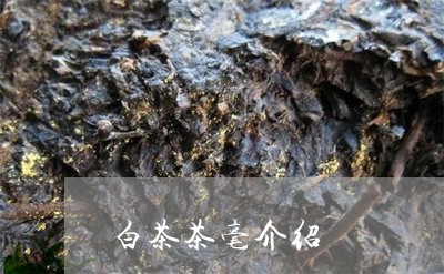 白茶茶毫介绍/2023052167269