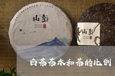 白茶茶水和茶的比例/2023082441616