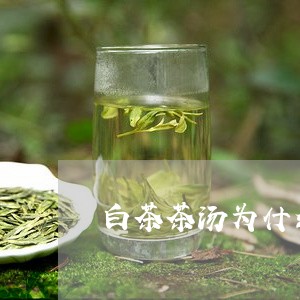 白茶茶汤为什么有油脂味/2023103161593