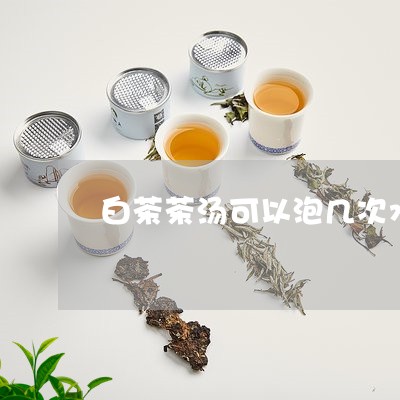 白茶茶汤可以泡几次水吗/2023103199260