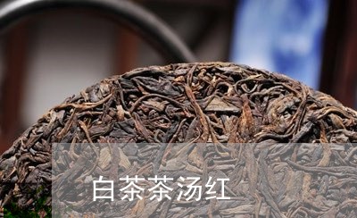 白茶茶汤红/2023051051493