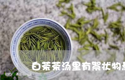 白茶茶汤里有絮状物悬浮物/2023110892705