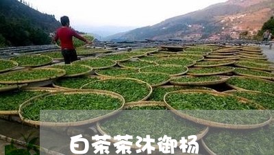 白茶茶沐御杨/2023052154937