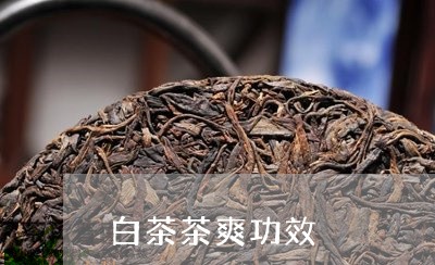 白茶茶爽功效/2023052161493