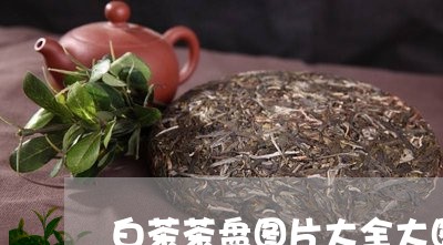 白茶茶盘图片大全大图/2023100740261