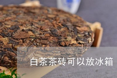 白茶茶砖可以放冰箱/2023082436048