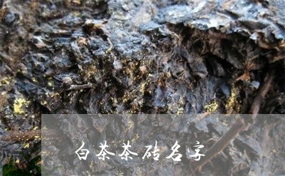 白茶茶砖名字/2023052123938