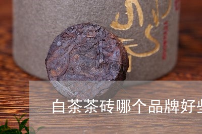 白茶茶砖哪个品牌好些/2023100709594