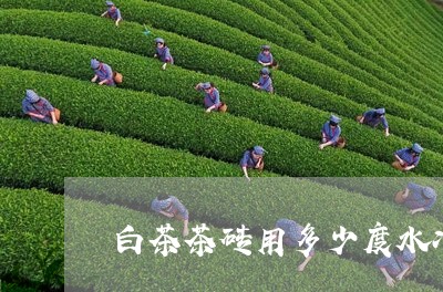 白茶茶砖用多少度水冲泡/2023103148280