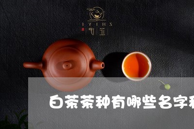 白茶茶种有哪些名字和图片/2023110867260