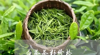 白茶茶籽价格/2023052178795