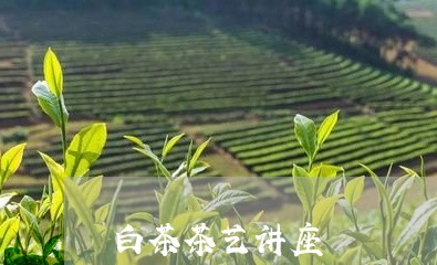 白茶茶艺讲座/2023052148383