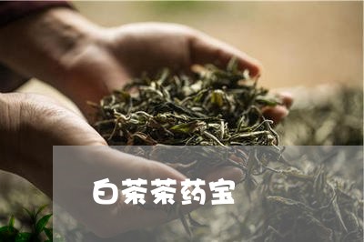 白茶茶药宝/2023051066149