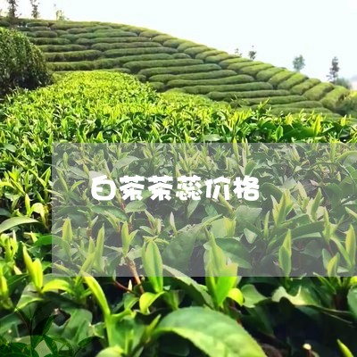 白茶茶蕊价格/2023052114968