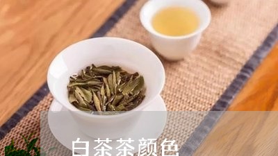 白茶茶颜色/2023051070716