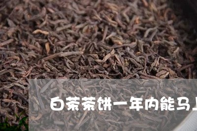 白茶茶饼一年内能马上喝吗/2023110893926