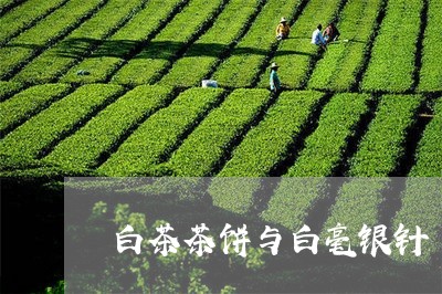 白茶茶饼与白毫银针/2023120500603