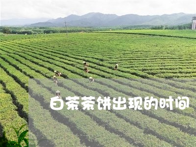 白茶茶饼出现的时间/2023082441504