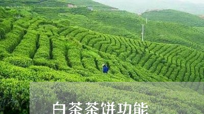 白茶茶饼功能/2023052186151