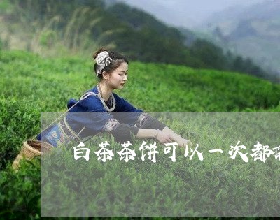 白茶茶饼可以一次都撬开吗/2023110867361