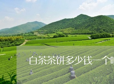 白茶茶饼多少钱一个呀图片/2023082535060