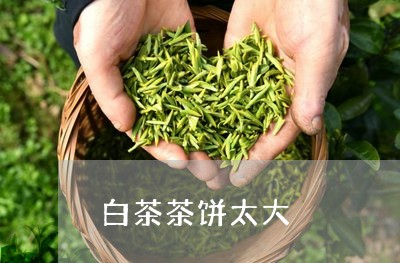 白茶茶饼太大/2023052119582