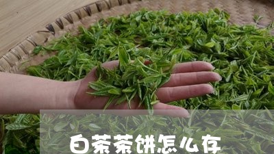 白茶茶饼怎么存/2023061116026