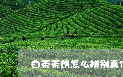 白茶茶饼怎么辨别真伪图片/2023110849491