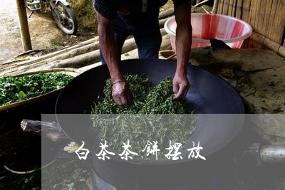 白茶茶饼摆放/2023052127271