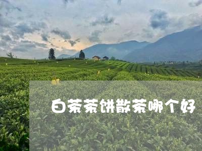 白茶茶饼散茶哪个好/2023082469673