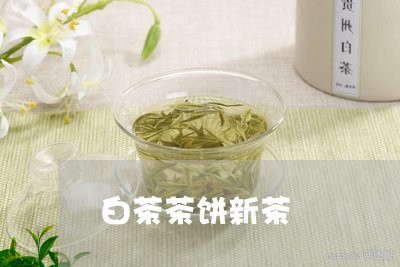 白茶茶饼新茶/2023052134360