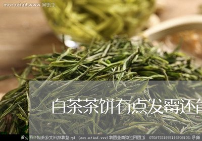 白茶茶饼有点发霉还能喝吗/2023110789325