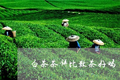 白茶茶饼比散茶好吗/2023111746269