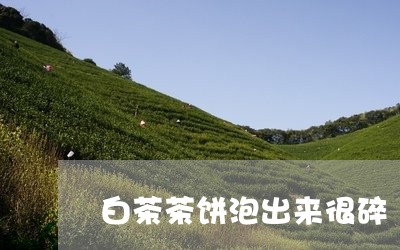 白茶茶饼泡出来很碎/2023082442814