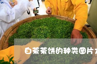 白茶茶饼的种类图片大全/2023110147383