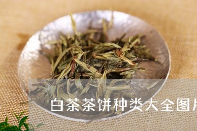 白茶茶饼种类大全图片/2023111540593