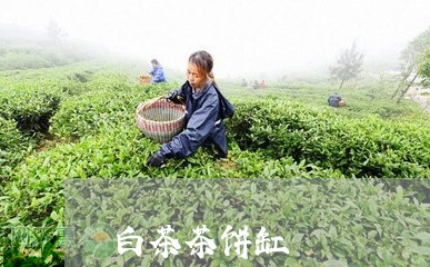 白茶茶饼缸/2023051093915