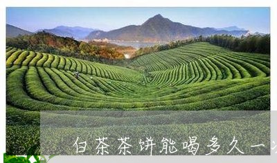 白茶茶饼能喝多久一次/2023100751803