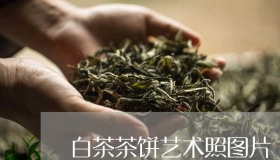 白茶茶饼艺术照图片/2023082476960