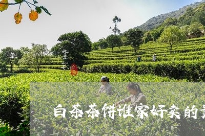 白茶茶饼谁家好卖的贵/2023100750682