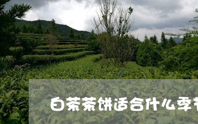 白茶茶饼适合什么季节喝/2023110121726