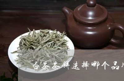 白茶茶饼选择哪个品牌比较好/2023111417037