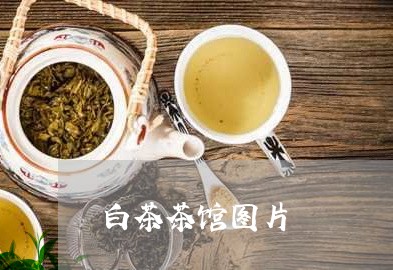 白茶茶馆图片/2023052160591