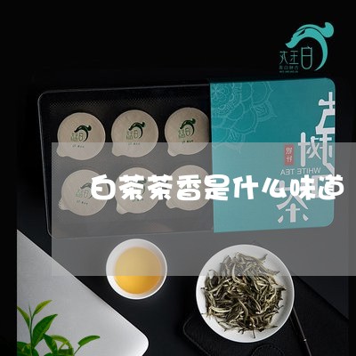 白茶茶香是什么味道/2023082400401