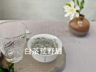 白茶荒野甜/2023051003948