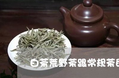 白茶荒野茶跟常规茶的区别/2023073093147