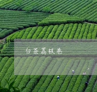 白茶荔枝卷/2023051037062