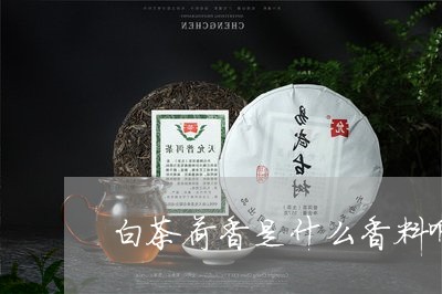 白茶荷香是什么香料啊好喝吗/2023111404148