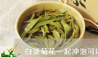 白茶菊花一起冲泡可以喝吗/2023110703914