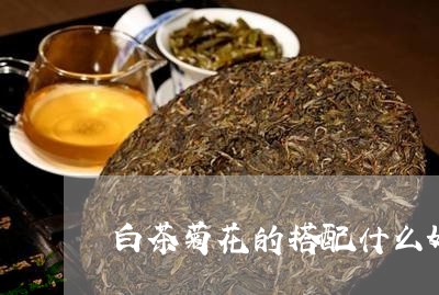 白茶菊花的搭配什么好喝/2023082507492